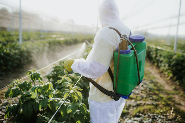 Best Mosquito Control Services  in Jennings, MO